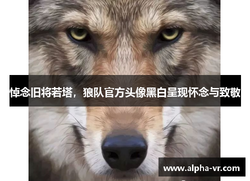 悼念旧将若塔，狼队官方头像黑白呈现怀念与致敬