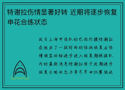 特谢拉伤情显著好转 近期将逐步恢复申花合练状态